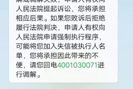 通山如何避免债务纠纷？专业追讨公司教您应对之策